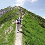 Wandelen